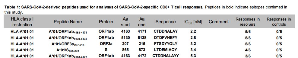 the researchers predicted the five best epitopes from SARS2 for such people to recognize. and sure enough, these are epitopes that most such people respond to