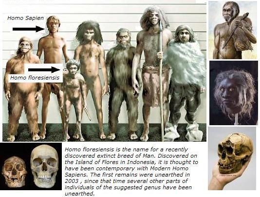 There was even a race of actual hobbits. Although their remains have so far only been discovered in Indonesia, various legends from around the world of similar beings show they were probably widespread.