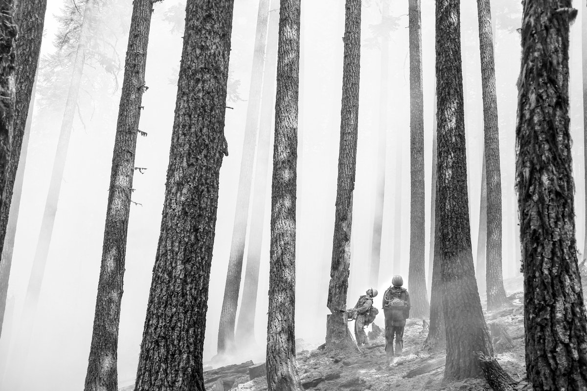 TheSmokeyGeneration tweet media