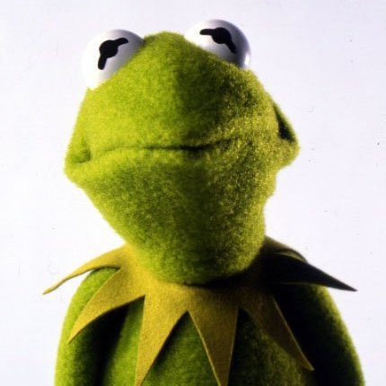 chaeyoung as kermit the frog