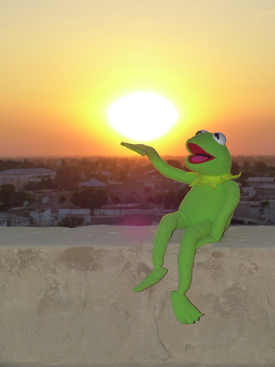 chaeyoung as kermit the frog