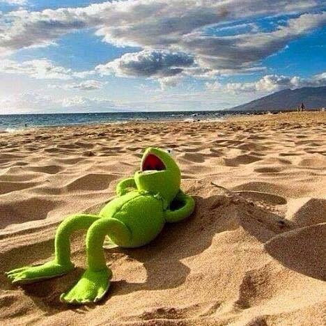 chaeyoung as kermit the frog