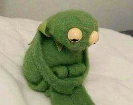 chaeyoung as kermit the frog