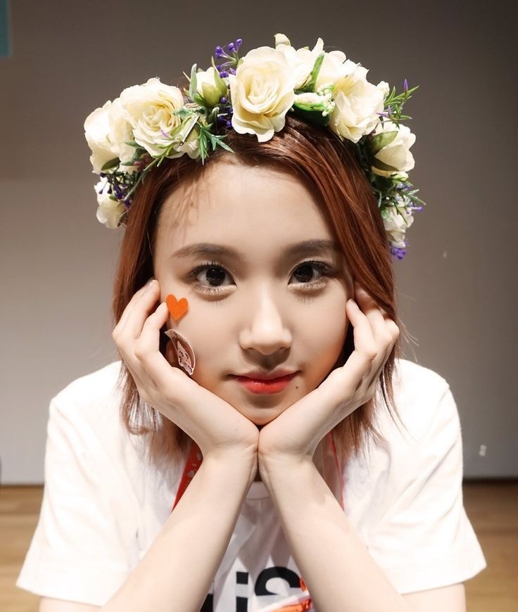 chaeyoung as kermit the frog