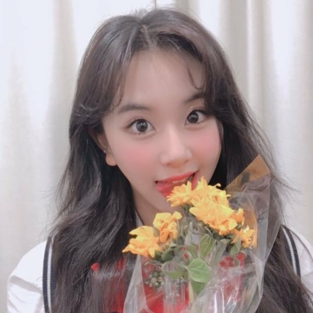 chaeyoung as kermit the frog