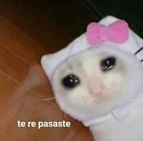 techiss's tweet photo. Cuando le digo BYE y me responde BYE https://t.co/207PWcp7Oy