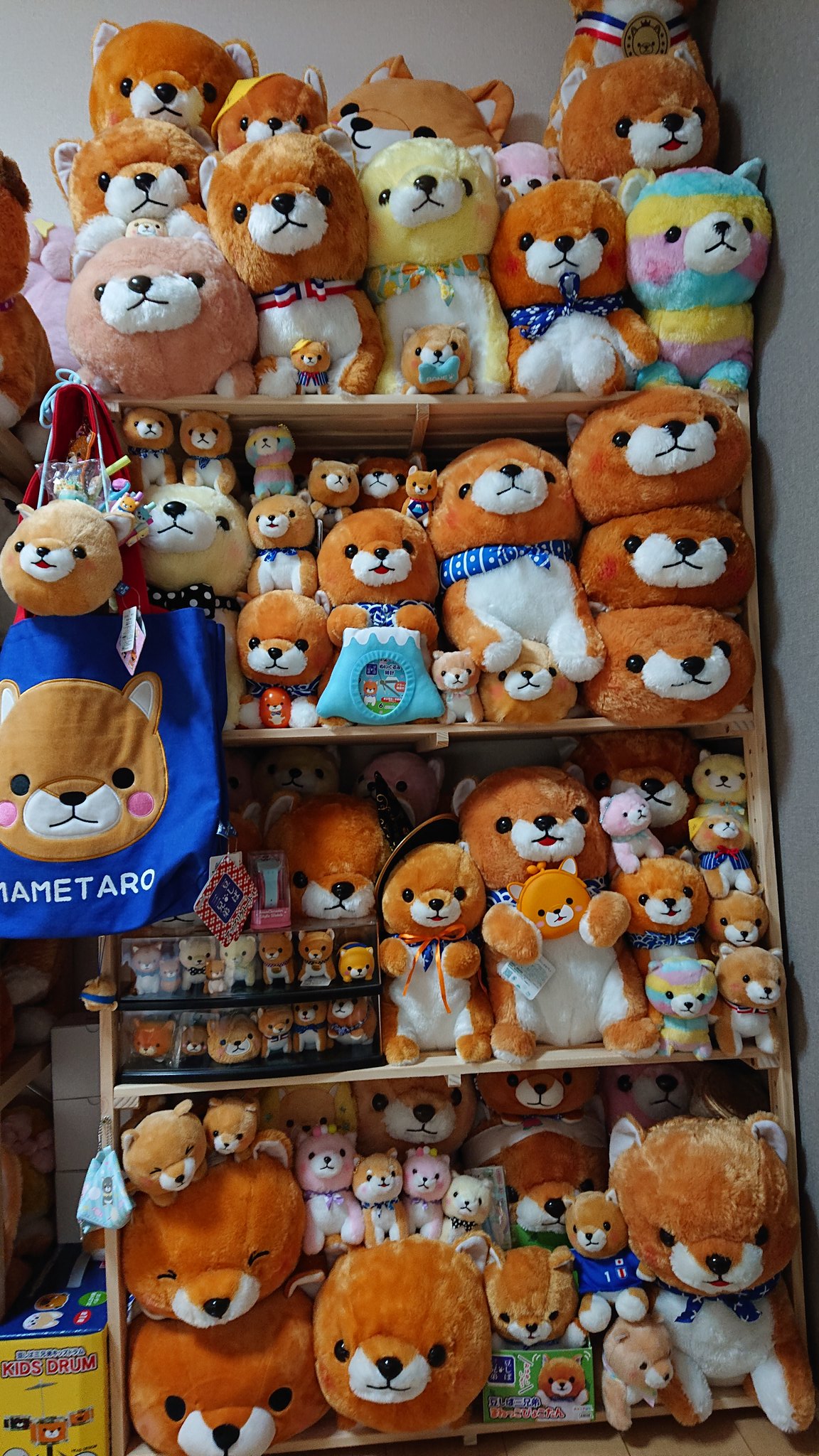 豆しば三兄弟 豆太郎 豆しば三兄弟の豆太郎ウェイト