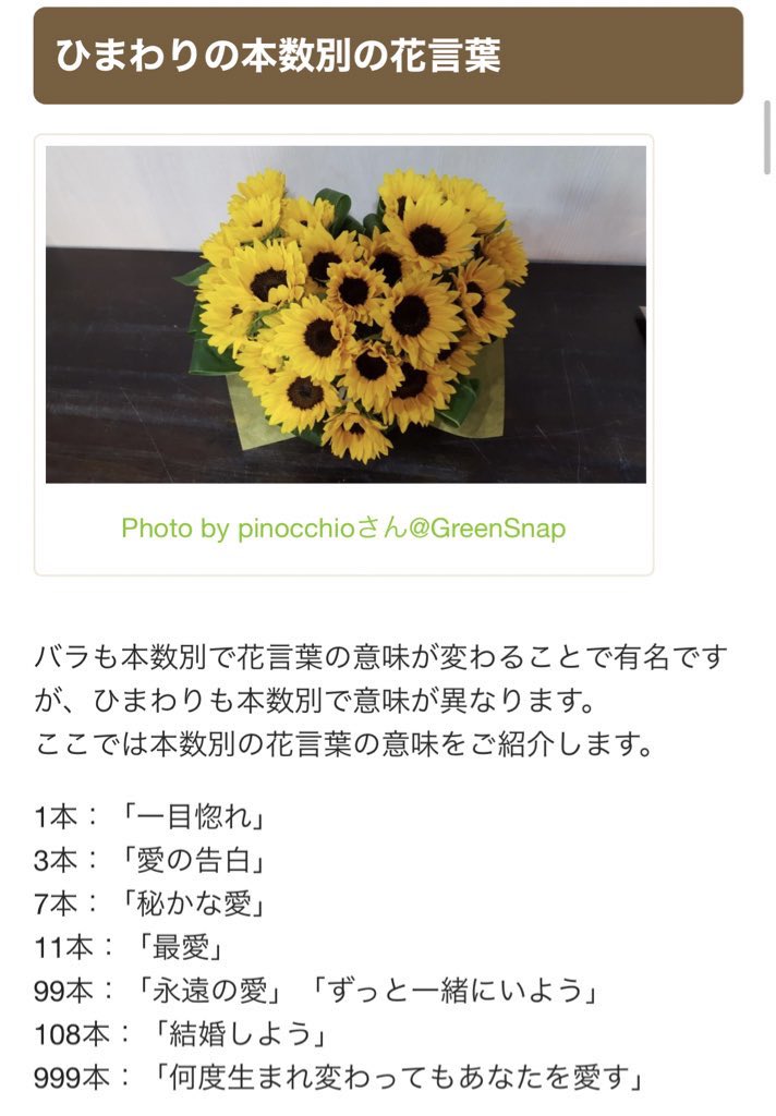 よ ひまわりの花言葉は 貴女だけを見ています 何本でも贈りたくなる 桃咲まゆ 気になったら画像のタグを押して ついでにフォローも よろしくお願いします T Co Okuo5kzm2f Twitter