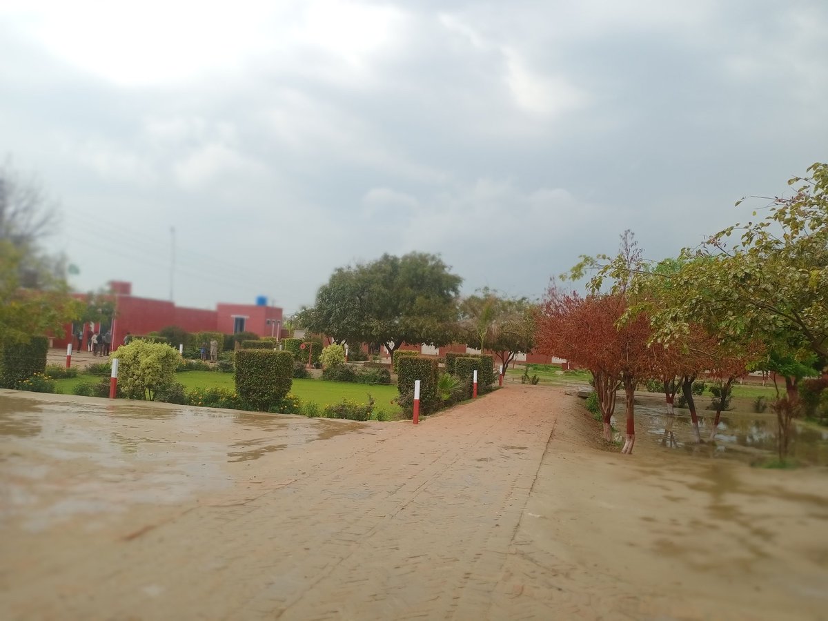 raaj_malik7's tweet photo. گورنمنٹ ٹیچرز نے بچوں کی پڑھائی اور تربیت کے ساتھ ساتھ گورنمنٹ سکولوں کو خوبصورت بنانے کا بھی ذمہ اٹھا لیا ہے انشاءاللہ وہ وقت دور نہیں جب گورنمنٹ سکولوں کی مثالیں دی جائیں گی
ہم بدلیں گے تعلیم کے نظام کو انشاءاللہ
@DrMuradPTI
@SchoolEduPunjab
#UtilityAllowanceForAll https://t.co/6TMmFnOnyo