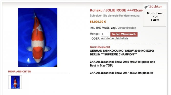 KoiQuestion's tweet image. Kersverse Grand Champion Julie Rose is te koop en zoveel kost ze... - koiquestion.com/2020/08/16/ker… |Holland Koi Show, Jolie Rose, Markus Schmidt, Momotaro