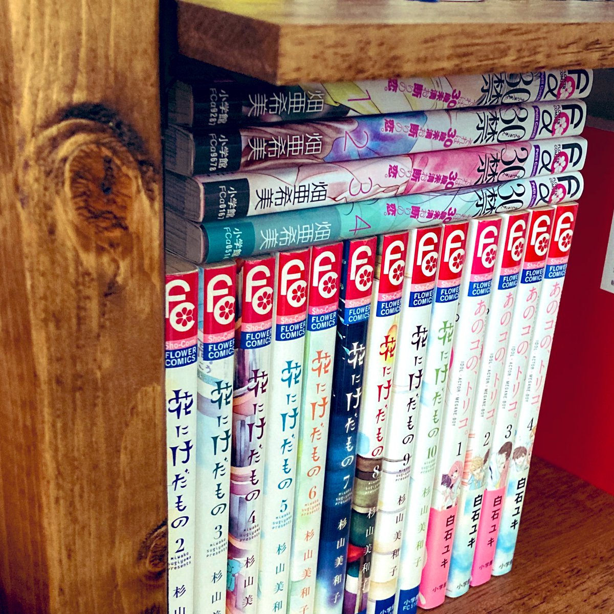 思い立って本棚の整理をする。どの並びで本を収納するのがベストなのかって難しい。
そしておじさんの本棚には似合わない、映画やドラマの原作少女漫画たちの居場所が1番難しい。
#あのコのトリコ #花にけだもの #30禁 https://t.co/2urTSlH6G7