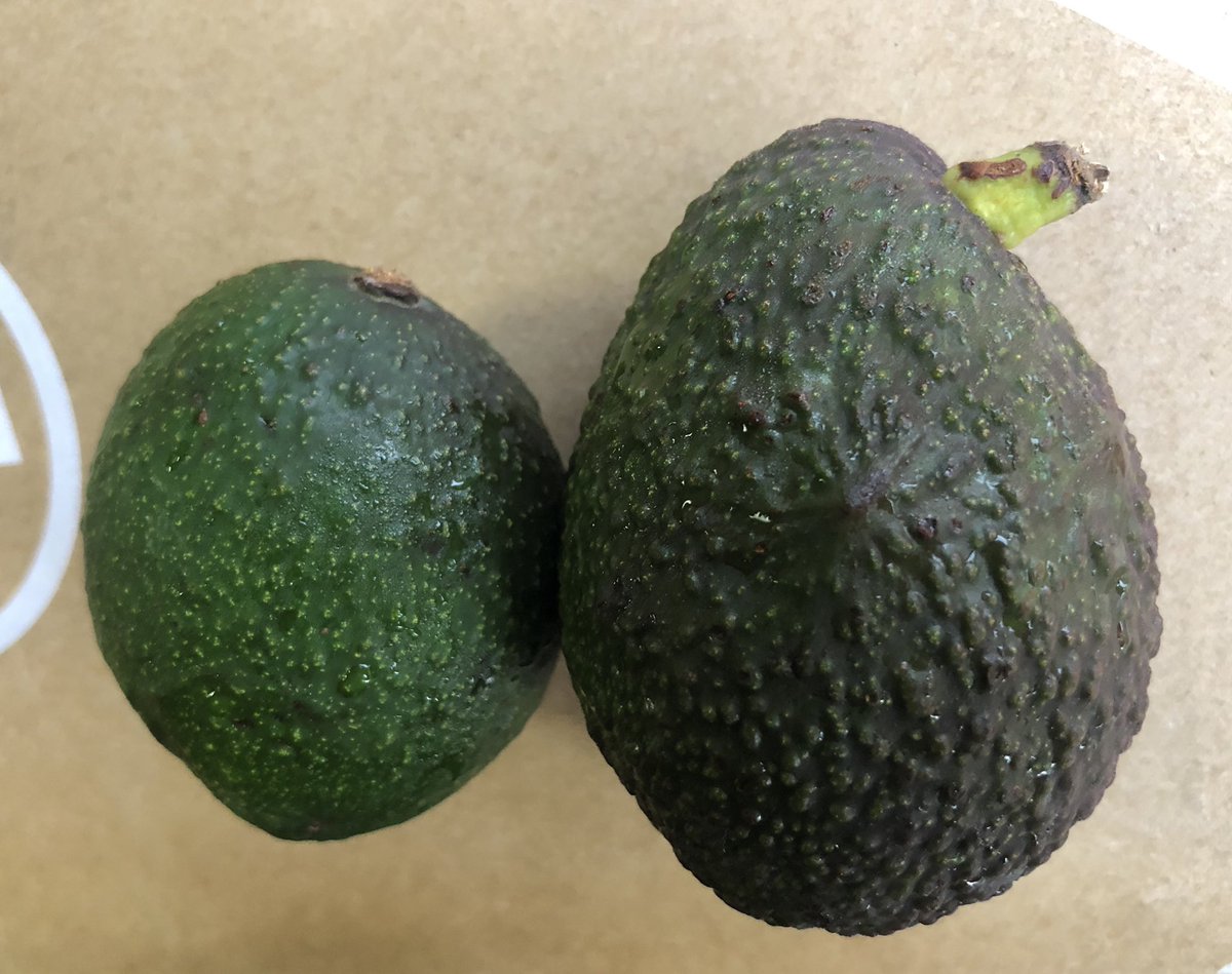 増戸 ダイエットポリス アボカドの食べ頃の判断基準は ヘタの出具合と実の固さだけど こんなにヘタが出て 実がまだ固い アボカドを初めて見た ちなみにアボカドは栄養価が高く ダイエットにもお勧めの食材です もちろん まごわやさしい
