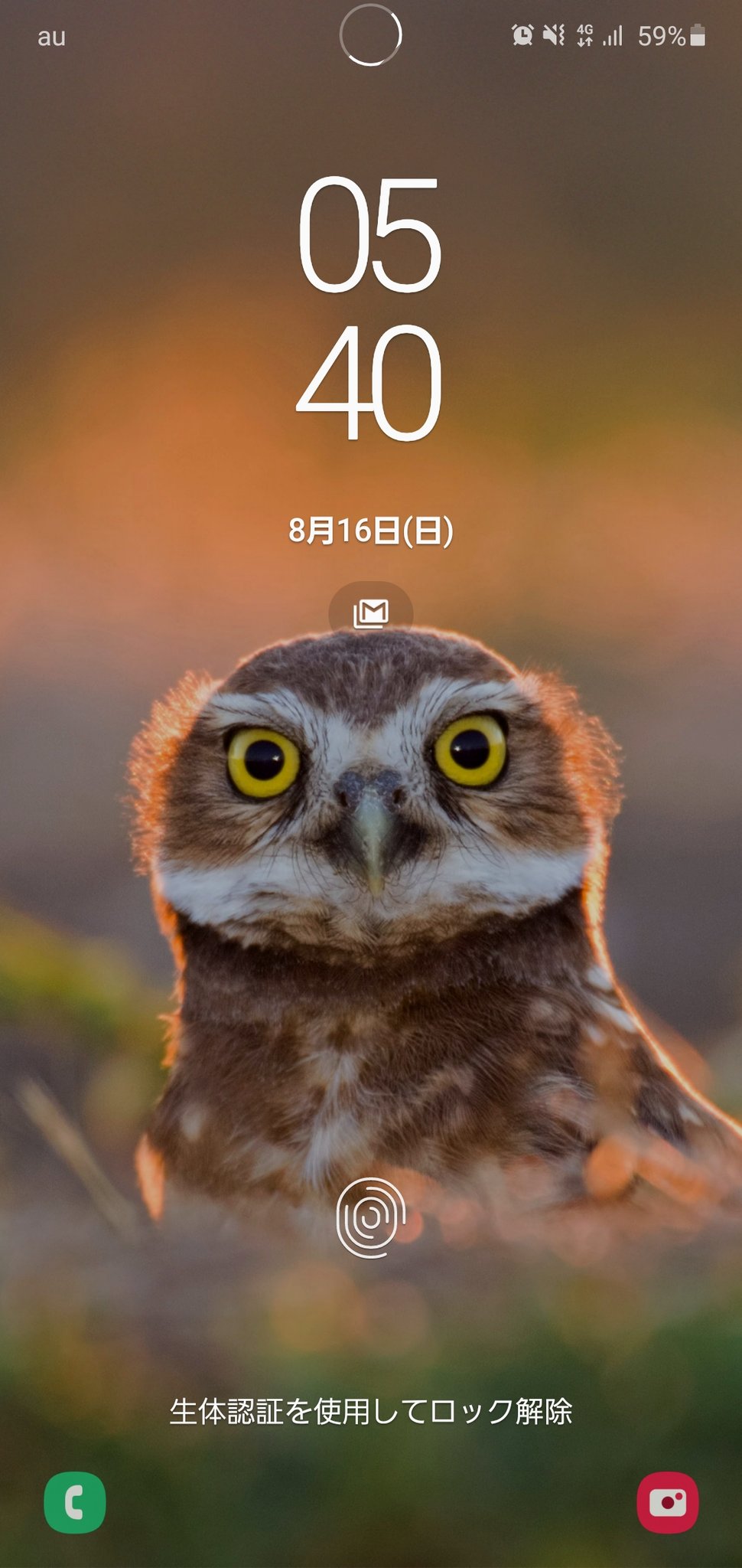 Saddy ランダム壁紙のフクロウに クッ かわいいじゃねぇか ってなってる５時40分 T Co Vayson9res Twitter