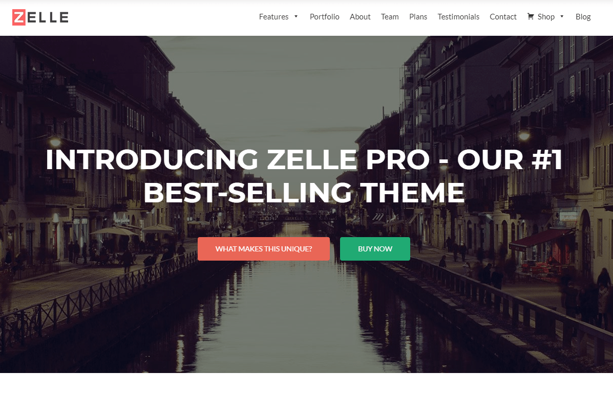 WPReviewsPro's tweet photo. The Zerif Pro theme (recently rebranded to Zelle Pro theme) is available in a lite version and a pro (paid) paid version. The theme has been growing in popularity over the recent past and has made a name for itself.  #zellepro #zerifpro #zerifproreview #Ze https://t.co/icvyiPf1yq https://t.co/y2DTc7gVv2