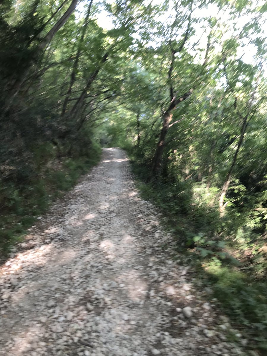 fdallora's tweet photo. Un circuito in mezzo al verde: #Costermano #Garda #Bardolino #LagodiGarda #12km su e giù per colline e uliveti. Io&amp;Elisa ⛰💪🏃‍♀️ https://t.co/NUlUXzJf1C