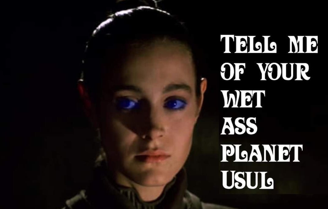 Dank Dune Memes (@dankdunememes) on Twitter photo 