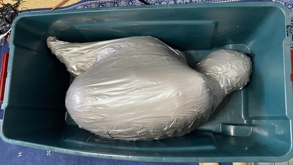 PTM (Perfect Tiny Mummification)