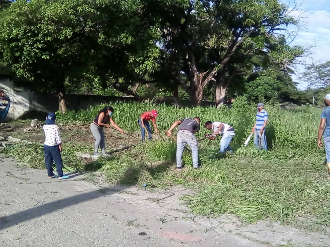 UBCHVinicioAda1's tweet photo. #AmorYProteccionAlPueblo 
#ZamoraIndetenible 
Jornada de Desmalezamiento en el Cementerio Calle comercio, con las fuerzas vivas de la comunidad activados @UBCHVinicioAda1 

Juntos todo es posible!

@NicolasMaduro 
@MarcoTorresPSUV 
@GobiernoDZamora 
@rodulfohumberto https://t.co/dW4WrGJ0vm