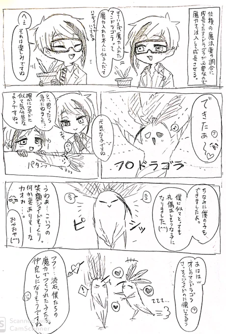 ジェイフロとマンドラゴラらくがき漫画 