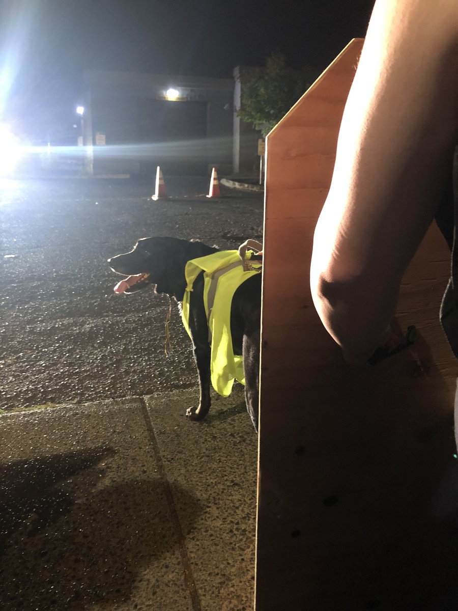 Pup on the front lines.