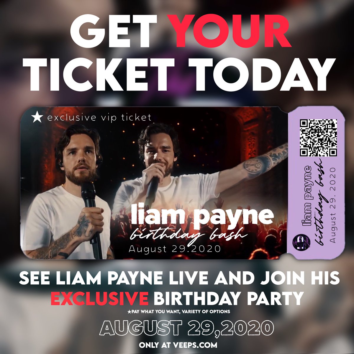bichotaszn's tweet image. here’s the ticket i made for #LPSHOW act 2 birthday bash edition 😌, @LiamPayne so excited to see you on your birthday! pls give out treats