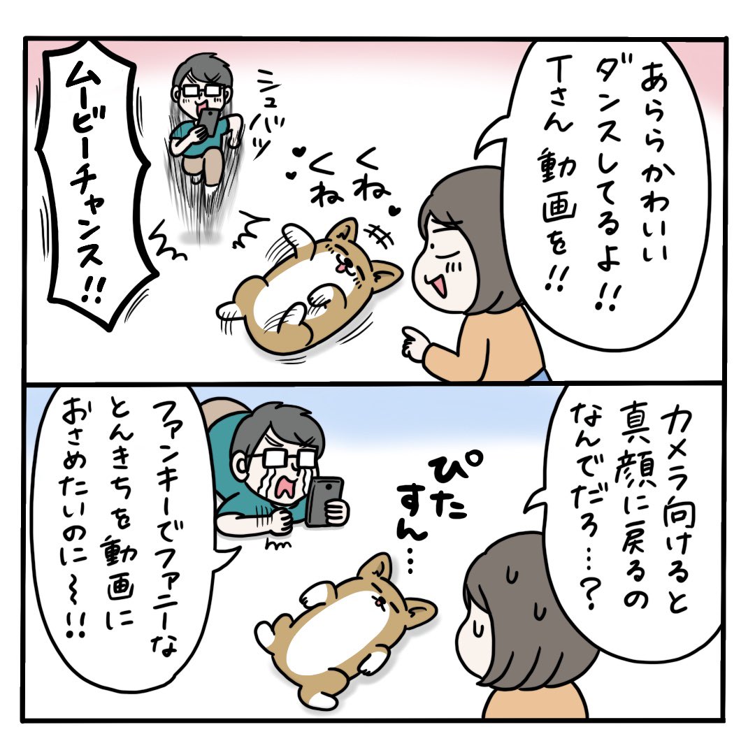 【とんきちマンガ】暗号マンゴー 