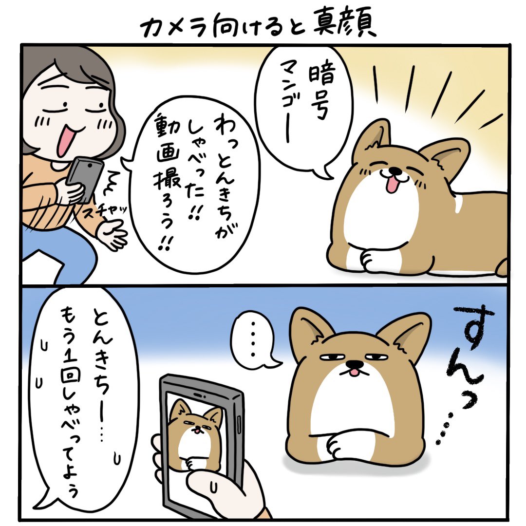 【とんきちマンガ】暗号マンゴー 