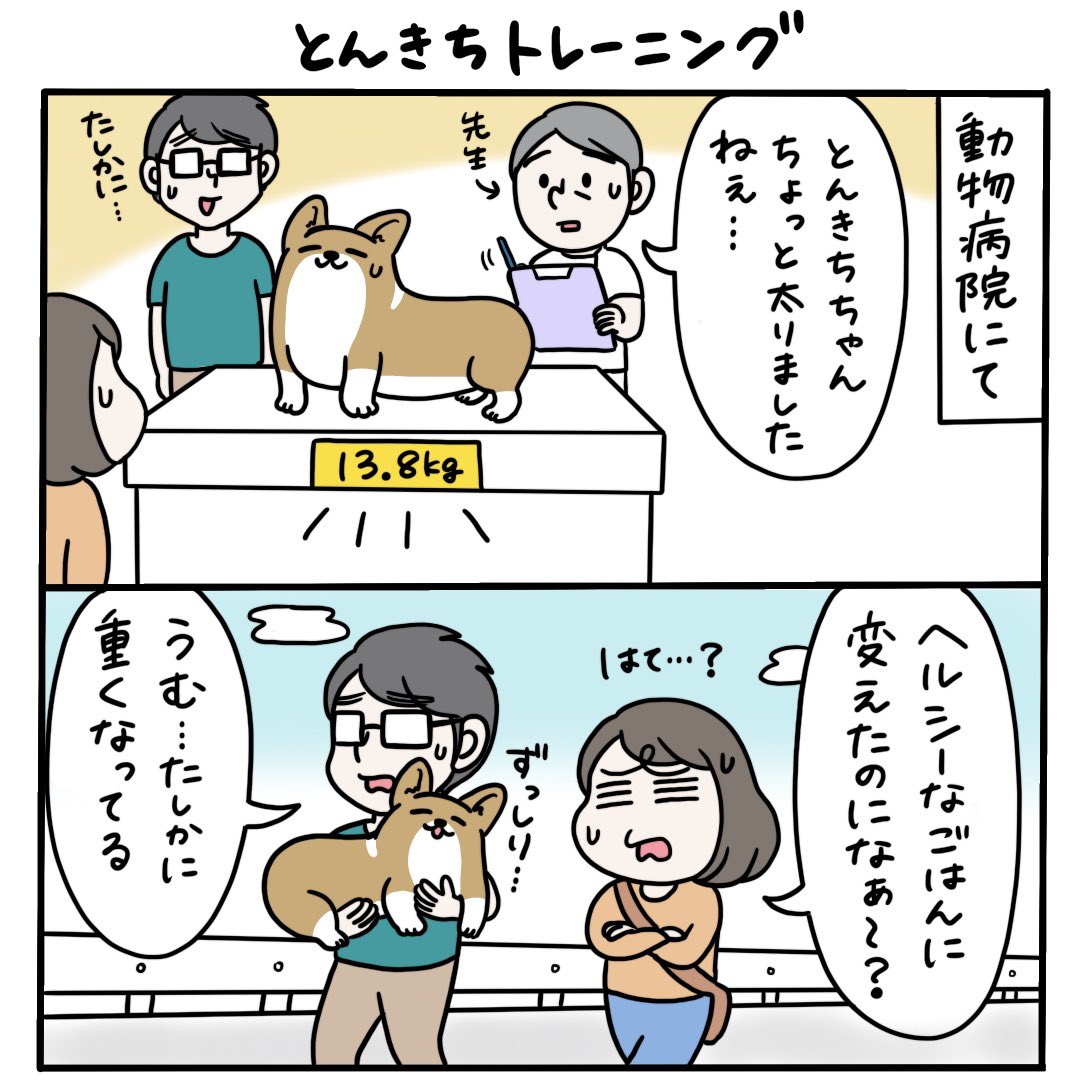 【とんきちマンガ】暗号マンゴー 