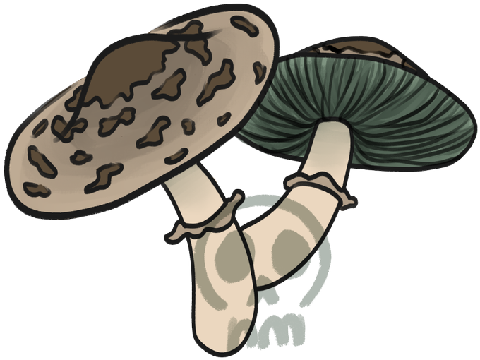 Mushroomのtwitterイラスト検索結果 古い順 Mushroomのtwitterイラスト検索結果 古い順