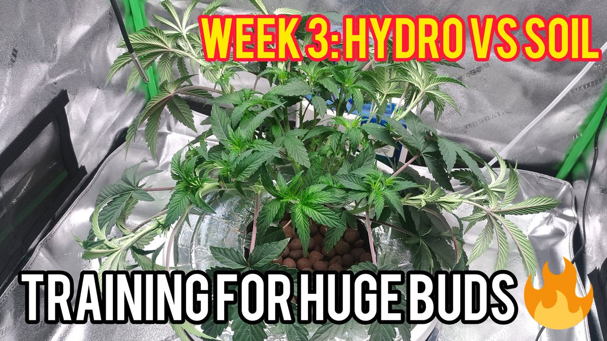 Week 3: Hydro Vs Soil ⬇️
youtu.be/eRMZqJY92d8