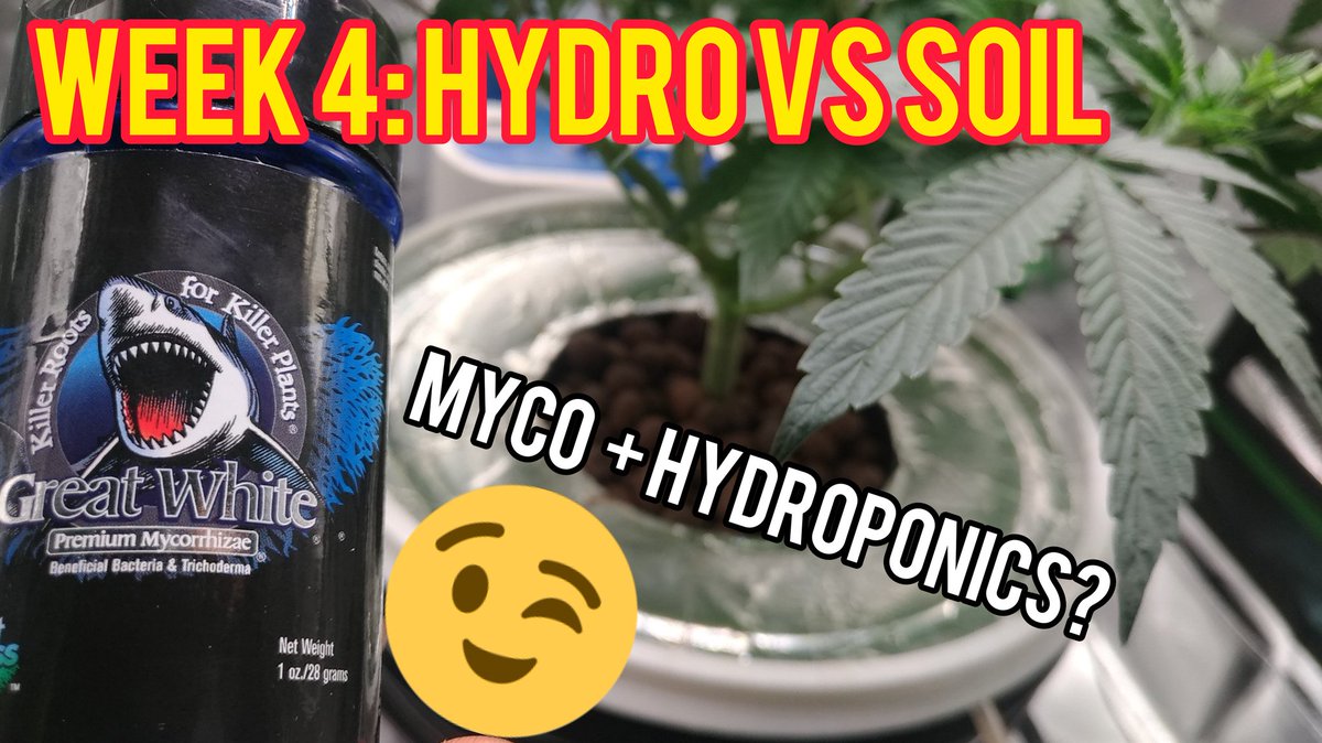 New Video Out Now! ⬇️
youtu.be/lc2ZDpEVjAk