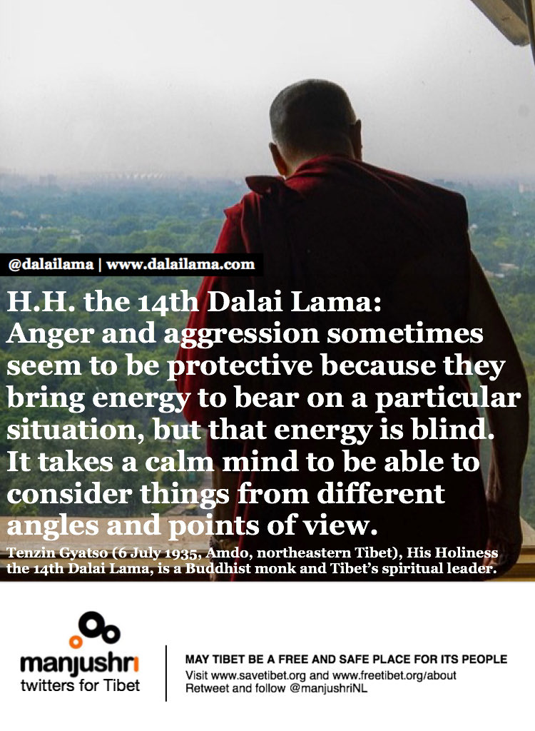 H.H. the 14th <a href="/DalaiLama/">Dalai Lama</a>: Anger and #aggression sometimes seem to be protective because they bring energy to bear on a particular situation, but that energy is blind. It takes a calm mind to be able to consider things from different angles and points of #view.

#awareness #zen