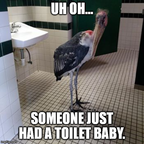 SethFromThe716's tweet image. Remember #ThatOneTime that girl had a toilet baby?