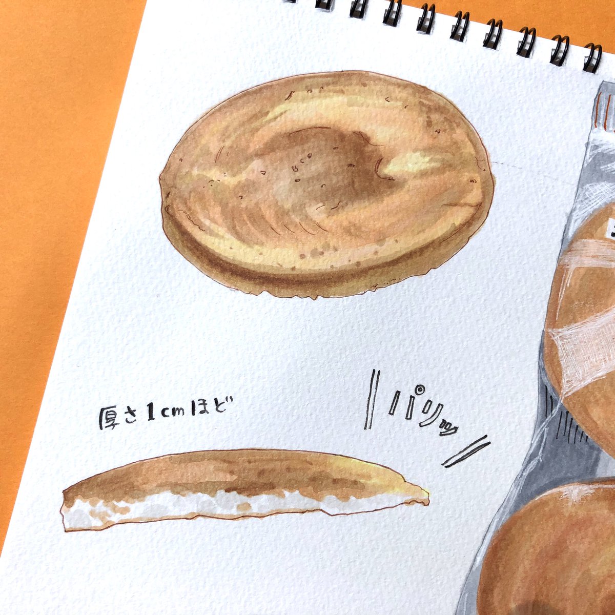 ◇手描きイラスト◇ももせんべい様用頁 ◇手描きイラスト◇ももせんべい様用頁 ◇手描きイラスト◇もも