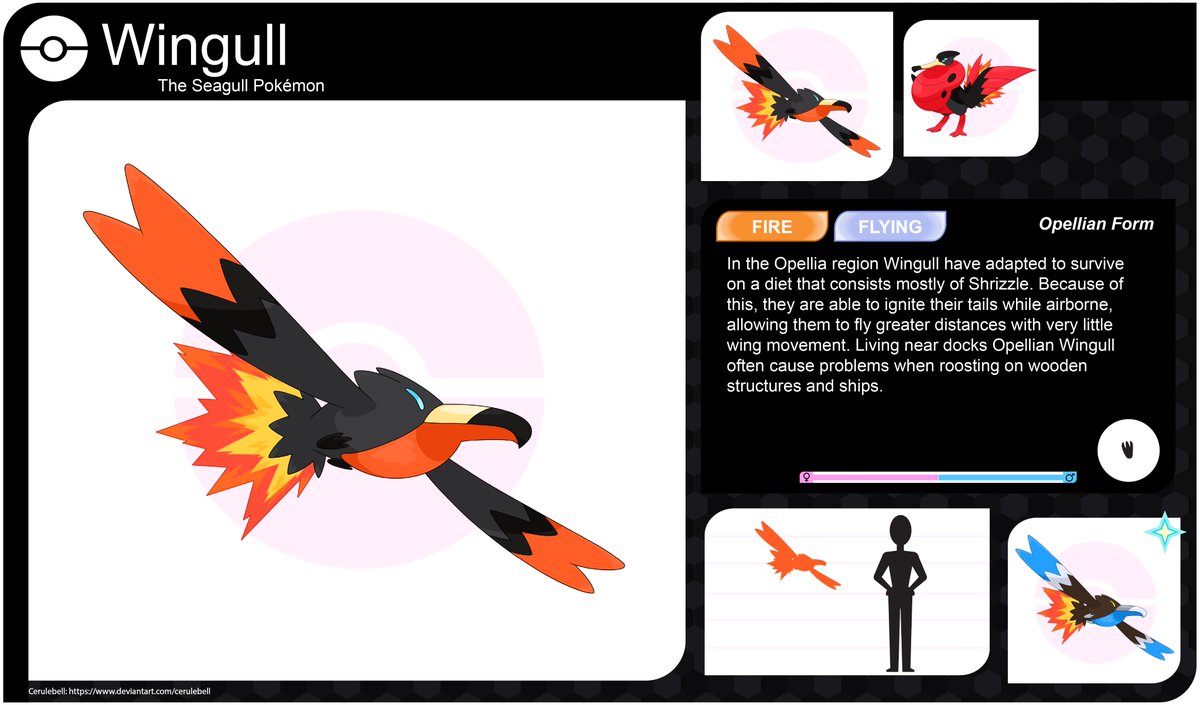 cerulebell's tweet photo. Anyone else always wanted a rocket-powered Wingull? :P #pokemon #fakemon #fakedex #wingull #pelipper #frigatebird #regionalform #regionalvariant #firetype #flyingtype #PokemonSwordShield #PokemonSwordandShield #albatross #pokemonfanart https://t.co/DuwEqvuARF