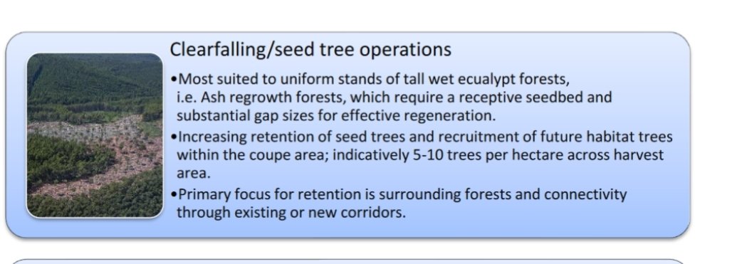 Enter VicForests. Whilst the CEO appeared to claim on Twitter it does not clearfell any more, it still does with Ash forests (which includes E. delegatensis).It also 'salvage logs' burnt areas.