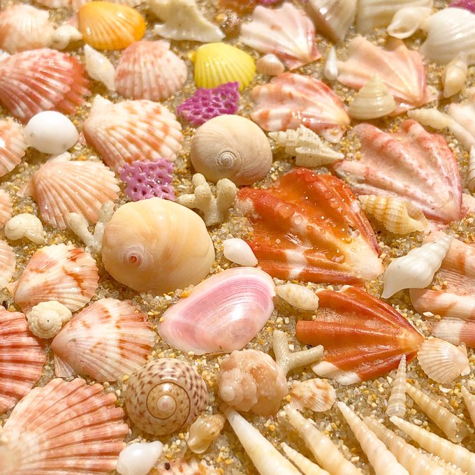 微小貝のtwitterイラスト検索結果