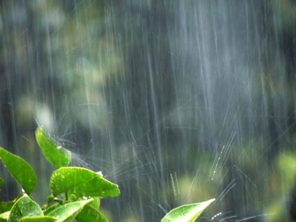 lieu_de_PARTIL's tweet photo. 吉祥寺はゲリラ豪雨でしたね⛈
ジメッとするのでPARTILでミントシャンプーいかがでしょうか?😁🍃🌱
#吉祥寺 #美容室 #PARTIL #ミントシャンプー #ゲリラ豪雨 https://t.co/tY5W87ctrD