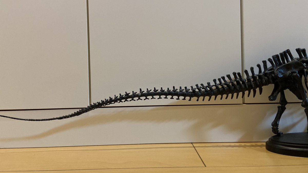 は*郎様 学研1/35 恐竜骨格モデルシリーズ 02ディプロドクス Amazon.co