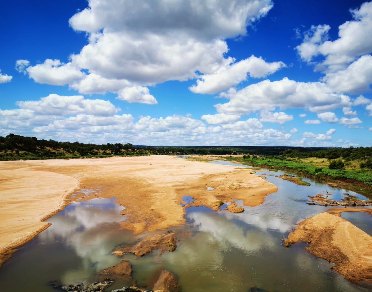 Nhongosafaris's tweet image. South Africa is moving down to alert level 2 from Tuesday 🎉

#southafrica #covid19 #alertlevel2 #krugernationalparksafari #tour #holiday #travel #southafricaistravelready #thewildawaits #outdoors #adventure #bushlife #letsgoonsafari