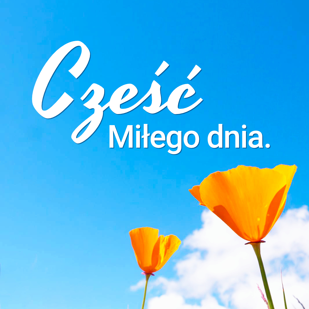 krych_julia's tweet photo. W Jezusie Chrystusie jest wytchnienie, radość i spełnienie; bogate i wieczne życie, Amen https://t.co/iaM3p3gmVV