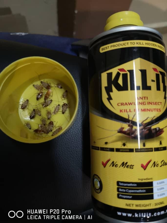 agentkillit's tweet image. Let's order now!

Kill-it pakar pembunuh lipas dan serangga disekeliling anda. Nanti tak perlu risau dah dengan lipas. Trace, track and kill them, buy now💨💢