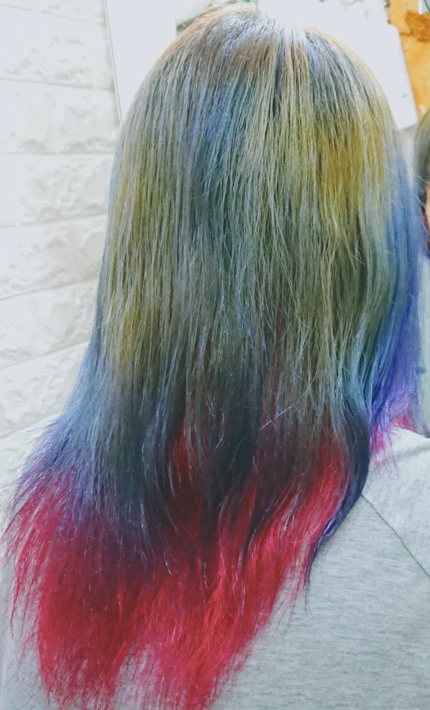 Ren 自宅 ヘアカット カラー わが家の節約術 W ヘアカット ヘアカラー インナーカラー ブリーチ トイプードルカット 節約 節約術 夫婦生活 愛犬のいる生活 T Co Uvggt3zitb Twitter