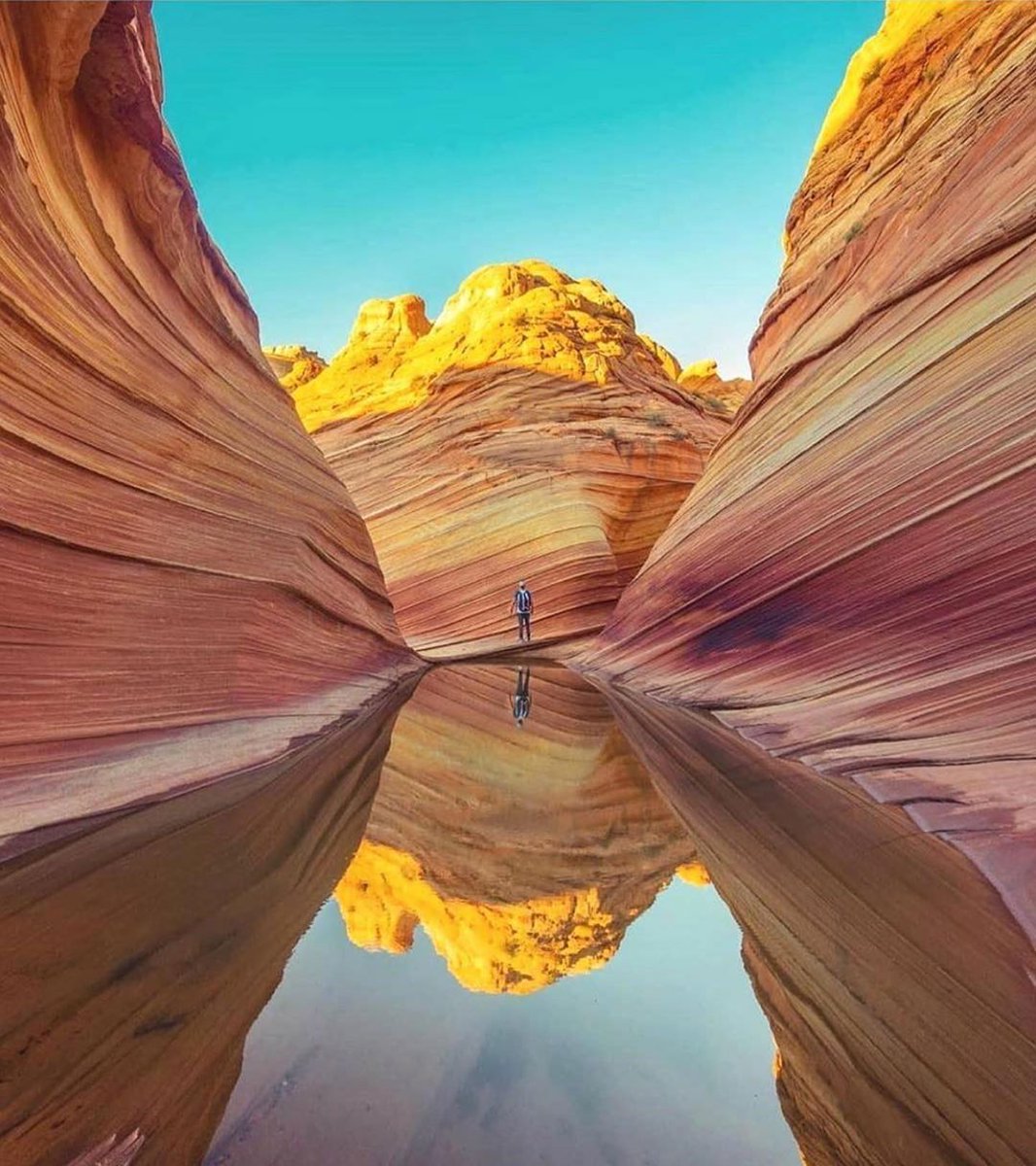 The Wave - Arizona 😍😍❤️❤️
.
.
📸:@ seanstumblingthrough
📍: The Wave - Arizona
#travelingaroundtheworld #travelingislife #travelingartist #instatravelnature #instatravelpic #instatravelphoto 
#thewavearizona #arizona #thewave