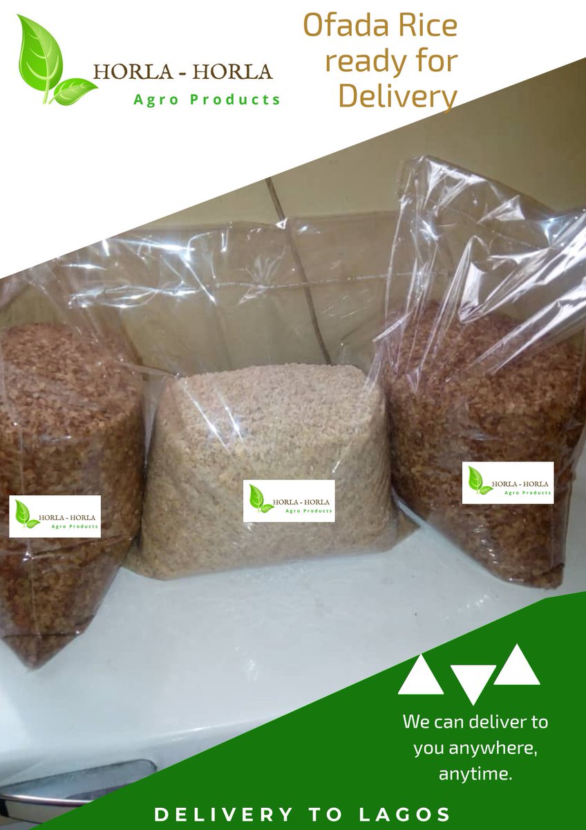 AgroHorlar's tweet photo. We delivered our #stoneless #ofadarice to Lagos this morning.
We can now deliver to you anywhere, all at Affordable price.
@MadedorVictoria
@FarmersStories
@dhot_man
@4realloveme1
@agricincome
@funmioyatogun
@EletaValentine
@CorpFarmersTV
@jidkod
@OlumideIDOWU
@Maduka_EC https://t.co/mHSo1qoDTT