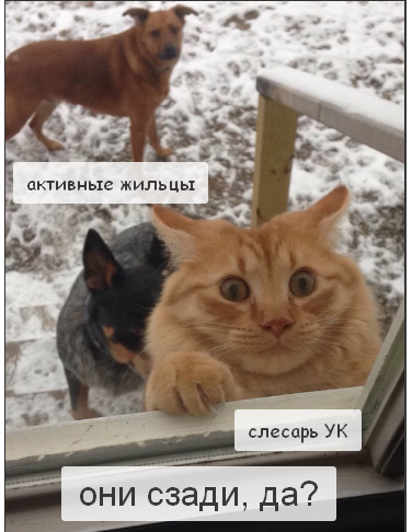 Когда мы все будем как церберы спрашивать за свои деньги по содержанию МКД - в доме настанет порядок.
Не МЫ должны у сотрудников УК выпрашивать работы за СВОИ ЖЕ ДЕНЬГИ, а они должны ходить за нами и обслуживать в соответствии с договором!