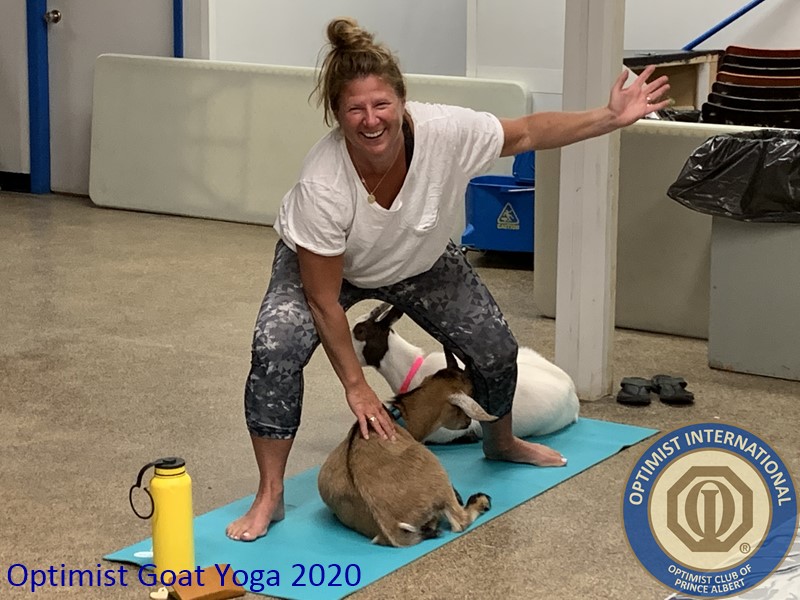 OptimistPASK's tweet image. Fun times with Goat Yoga, thanks to everyone to help raise funds for the Snoezelen Room at Ecole Vickers