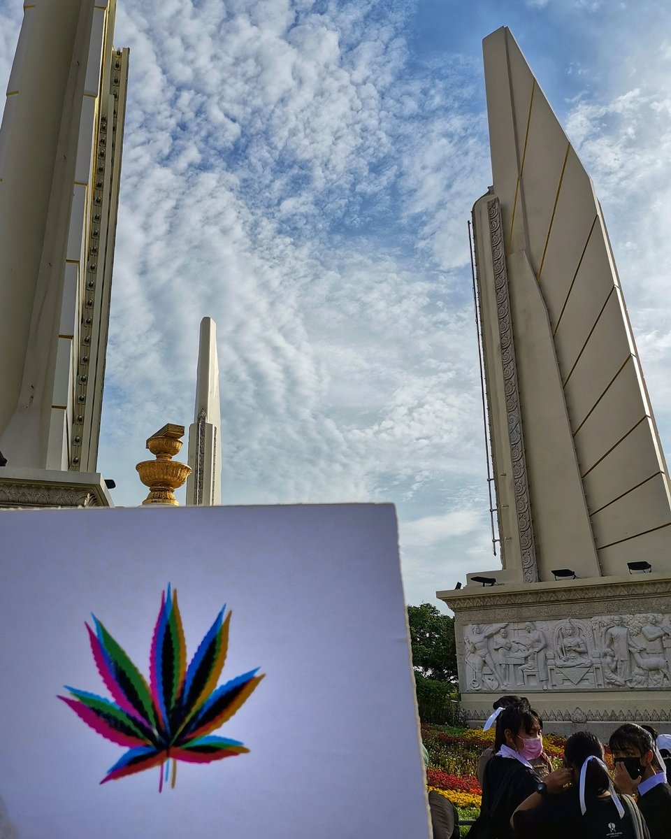 Kitty Chopaka tweet media