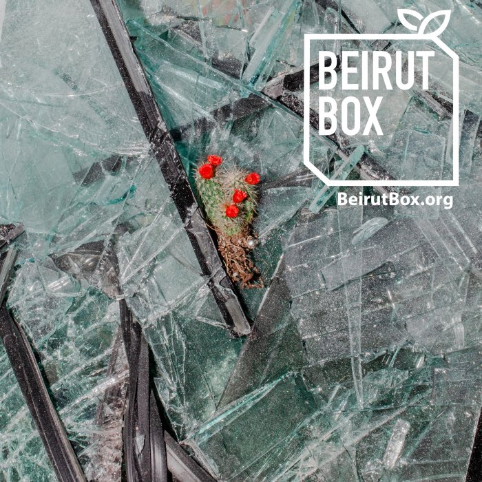 Beirut Box tweet media