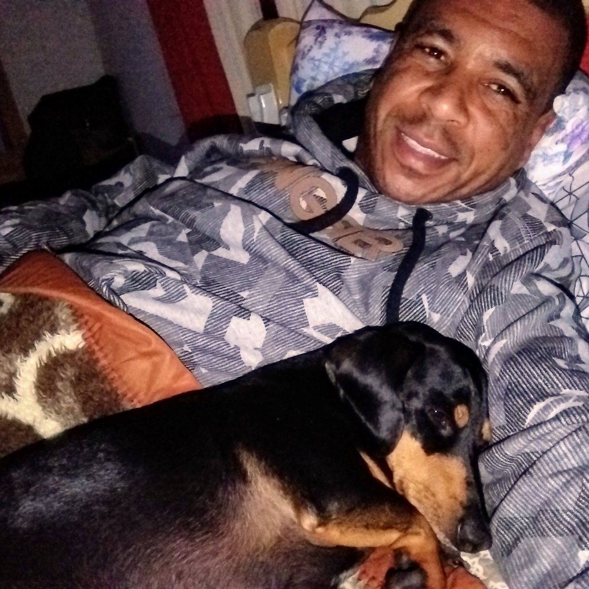 WanderS25498322's tweet photo. Desejamos um ótimo domingo a todos vocês.

Acorda Scooby meu filho, já tá na hora.

#scoobysilva🐾 
#domigao 

#wandersilva® https://t.co/BFWww2ImIw